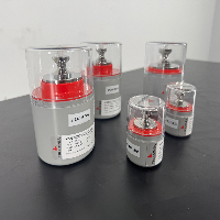 Troemner Calibration Weights - Quantity 5 image 1